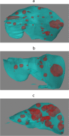Fig. 4