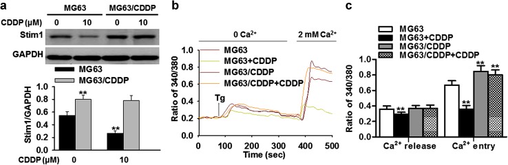 Fig. 2