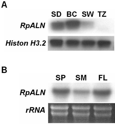 Figure 7.