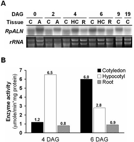 Figure 6.