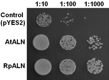 Figure 3.