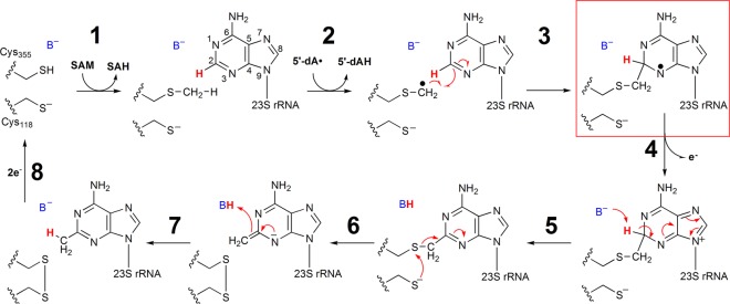 Scheme 1