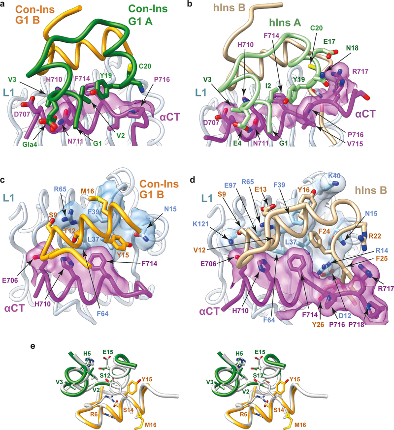 Figure 2 .