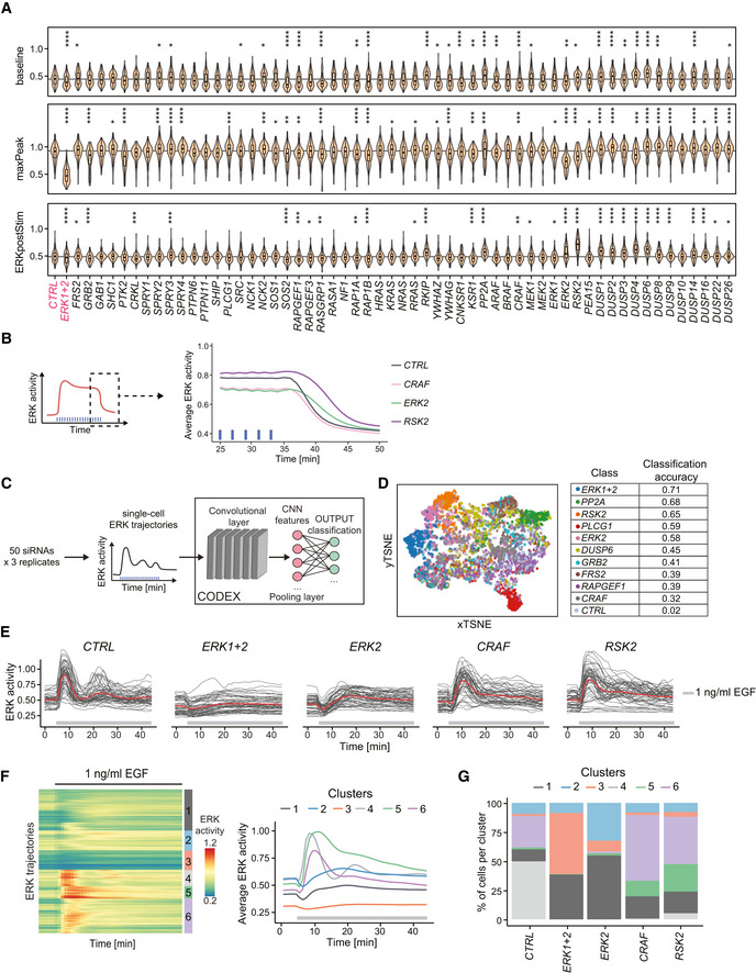 Figure EV3