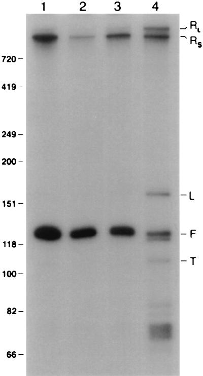 FIG. 8