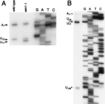 FIG. 6