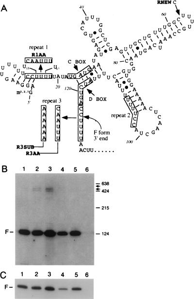 FIG. 9