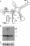 FIG. 9