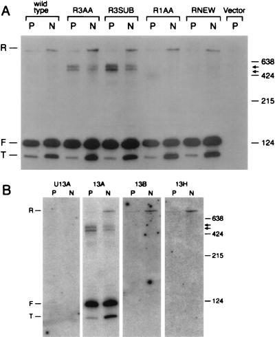 FIG. 10