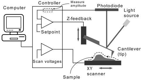 Figure 2.