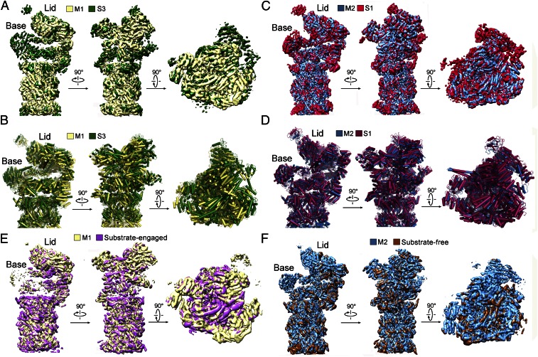 Fig. 4.