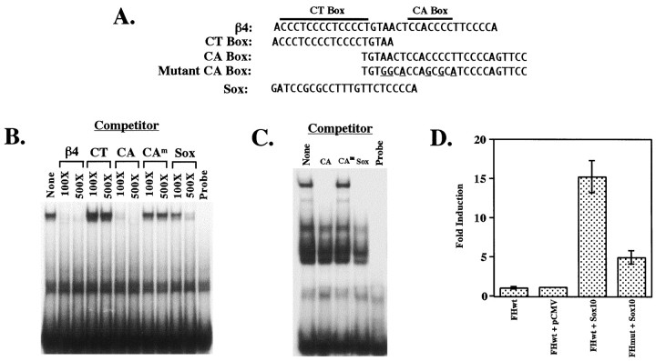 Fig. 5.