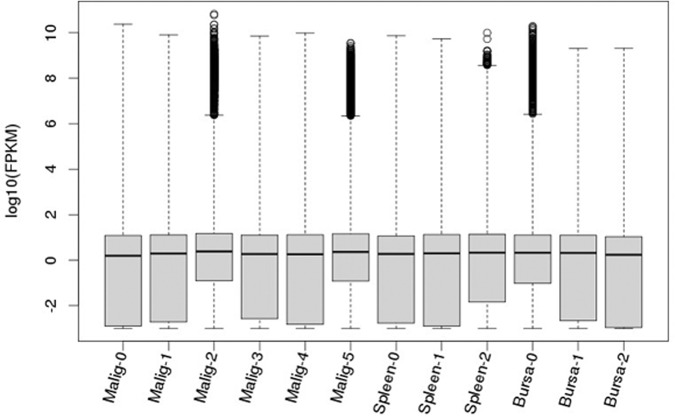 FIG 2