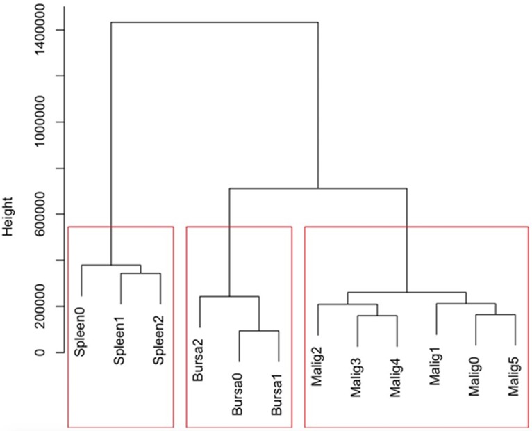 FIG 3