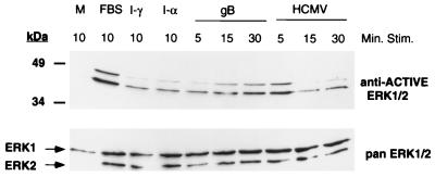 FIG. 7