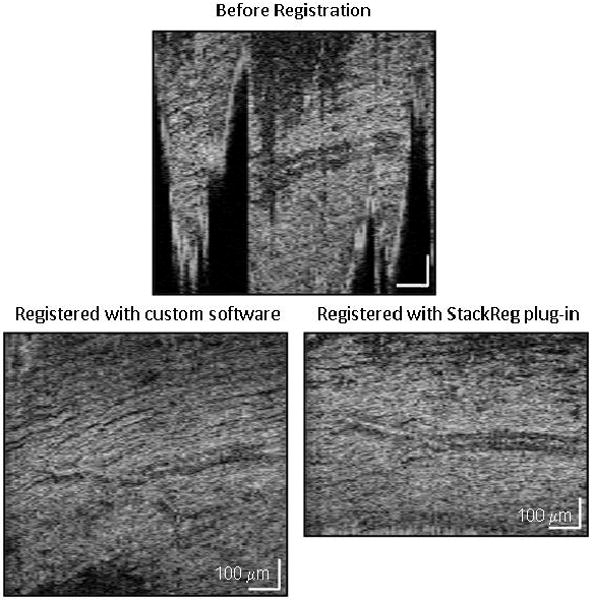 Fig. 12