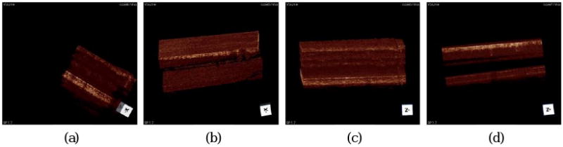 Fig. 10