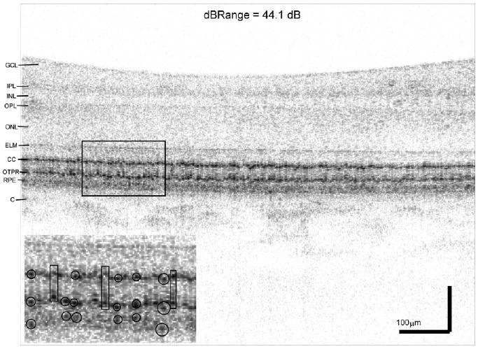 Fig. 7