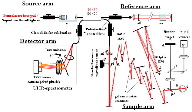 Fig. 1