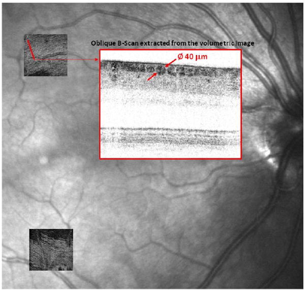 Fig. 9