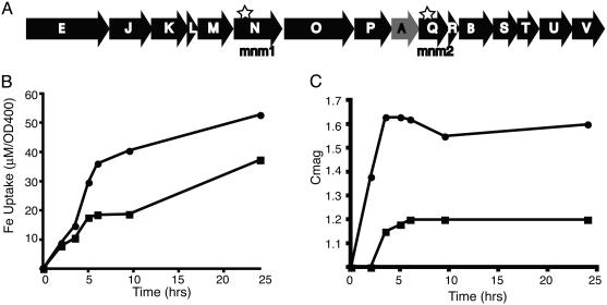 Fig. 2.