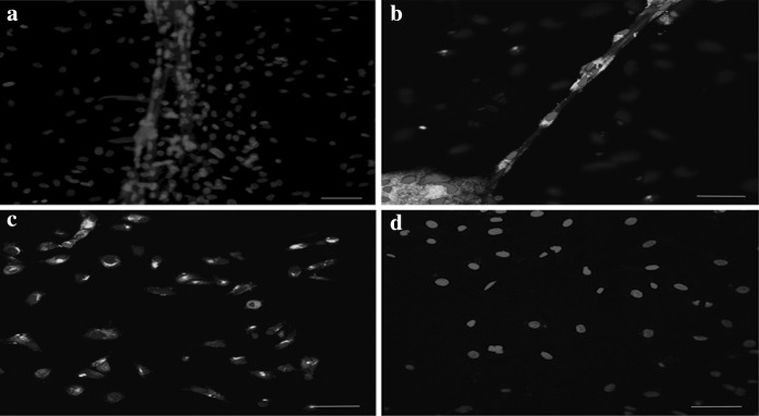 Fig. 7