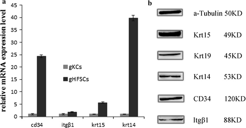 Fig. 4