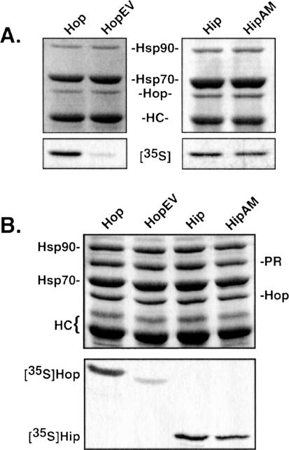 Fig 6.