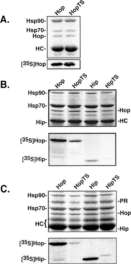 Fig 5.