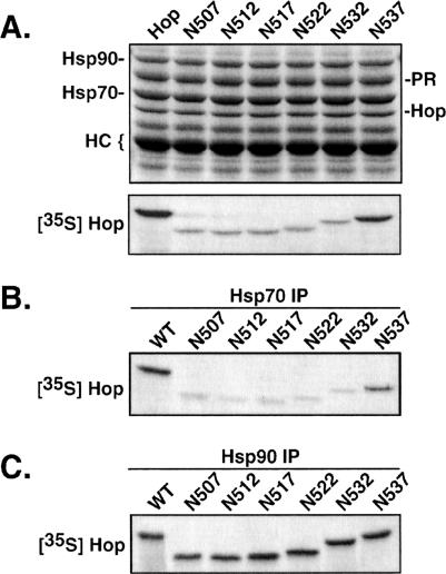 Fig 4.