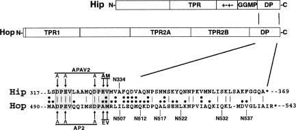 Fig 1.