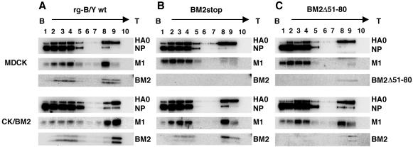 FIG. 9.