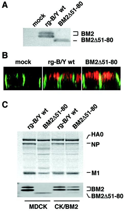 FIG. 8.