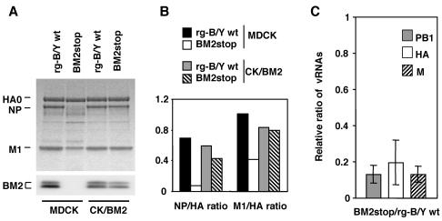 FIG. 7.