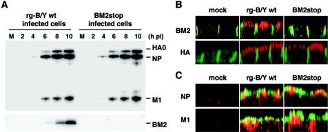 FIG. 6.