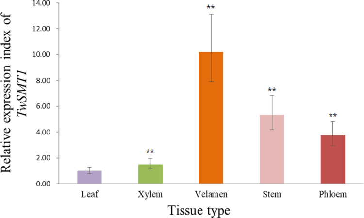 Fig. 6