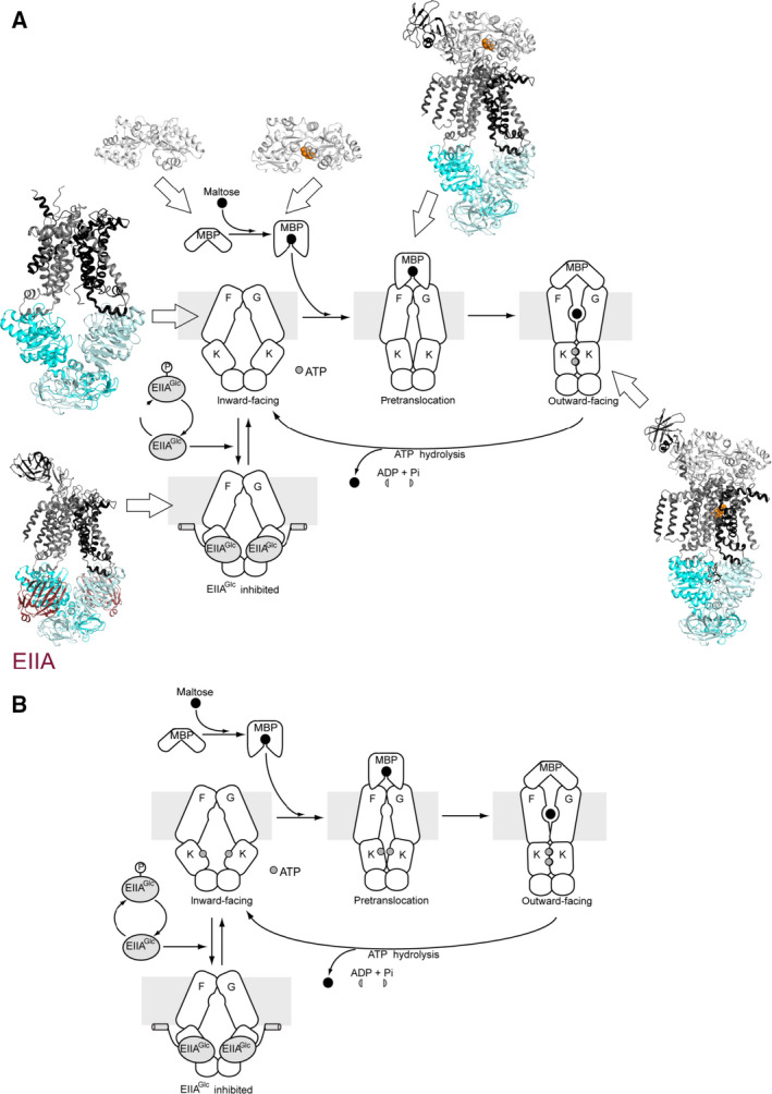 Fig. 2