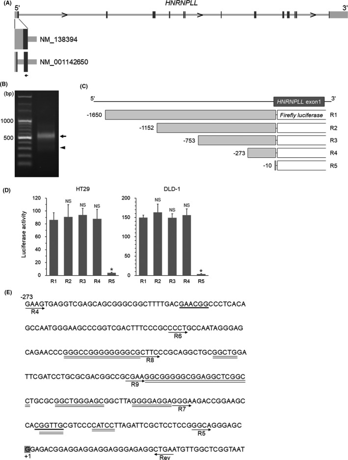 FIGURE 1