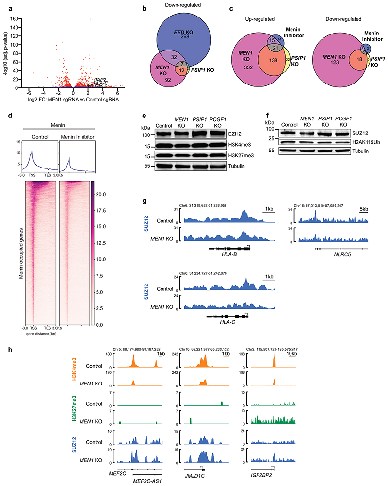 Extended Data Fig. 7