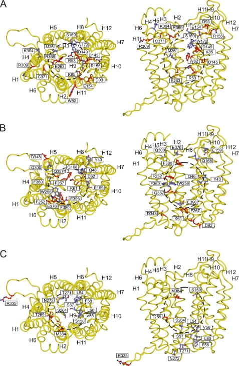 FIGURE 4.