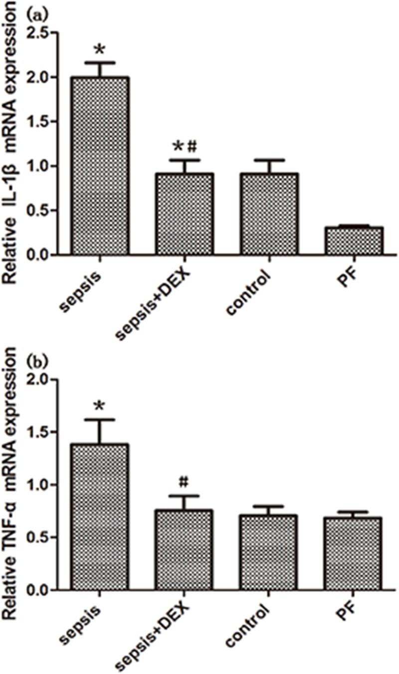 Fig 4