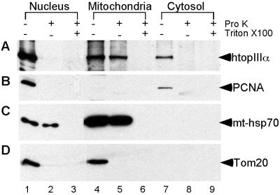 Fig 4.