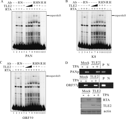 FIG. 6.