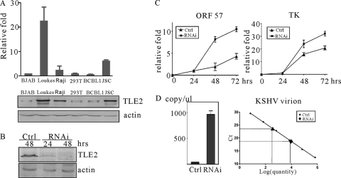 FIG. 7.