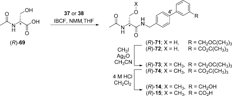 Scheme 5