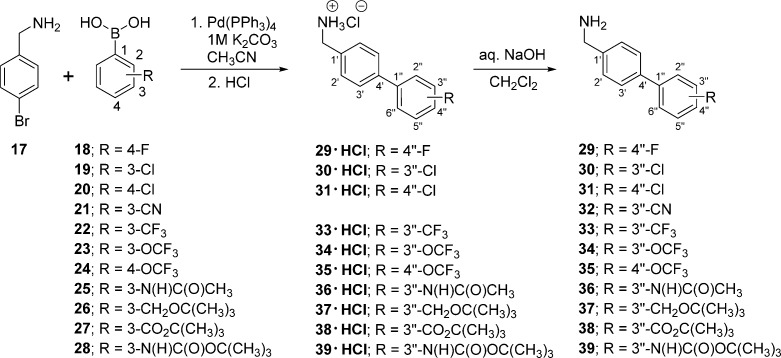 Scheme 1