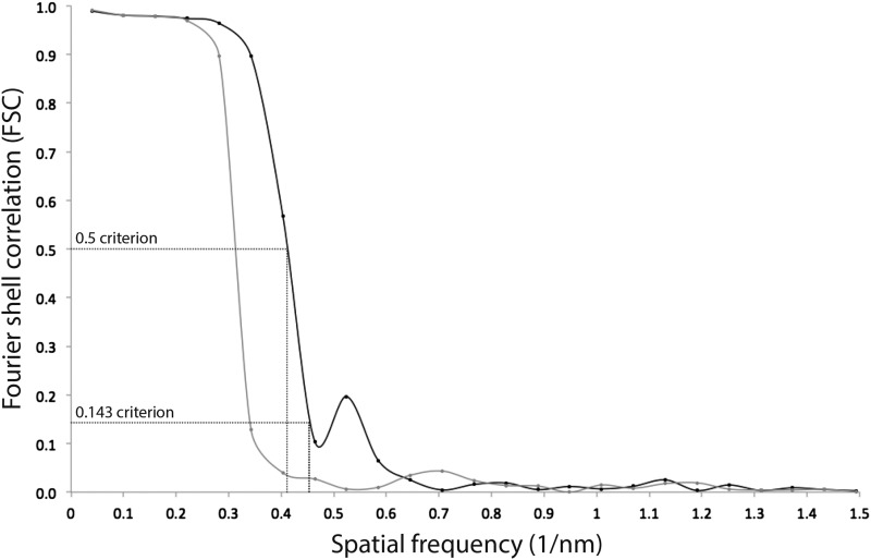 Figure 3—figure supplement 1.