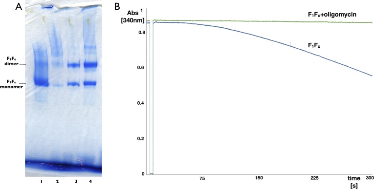 Figure 1—figure supplement 3.