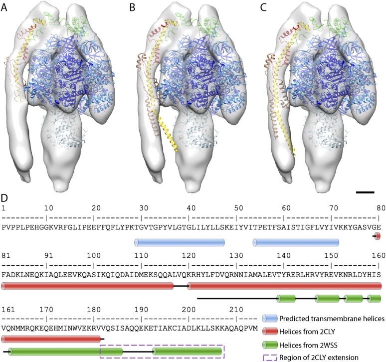 Figure 4—figure supplement 1.