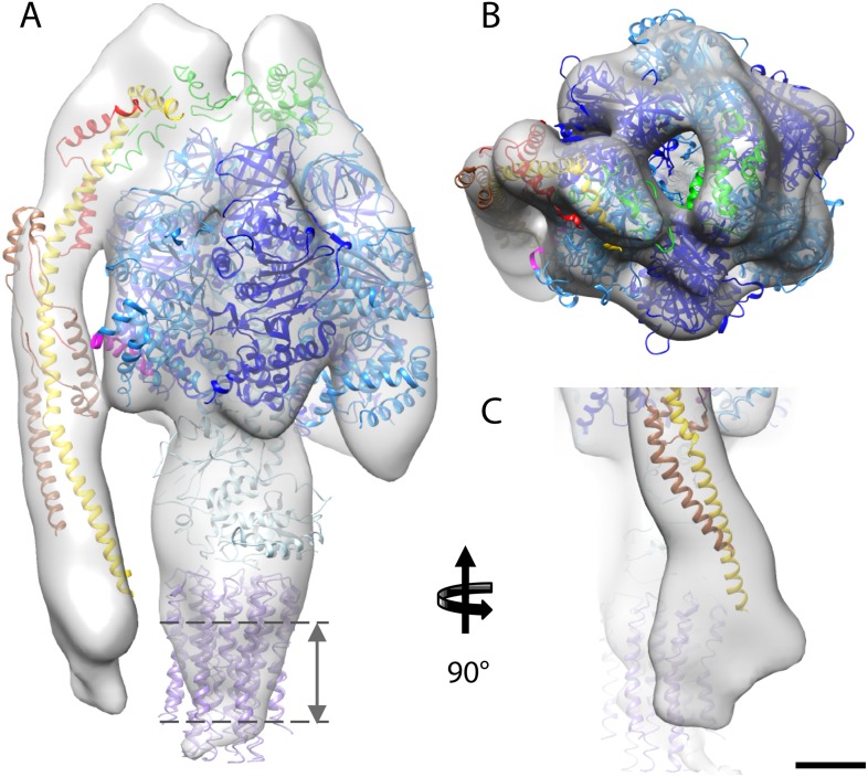 Figure 4.